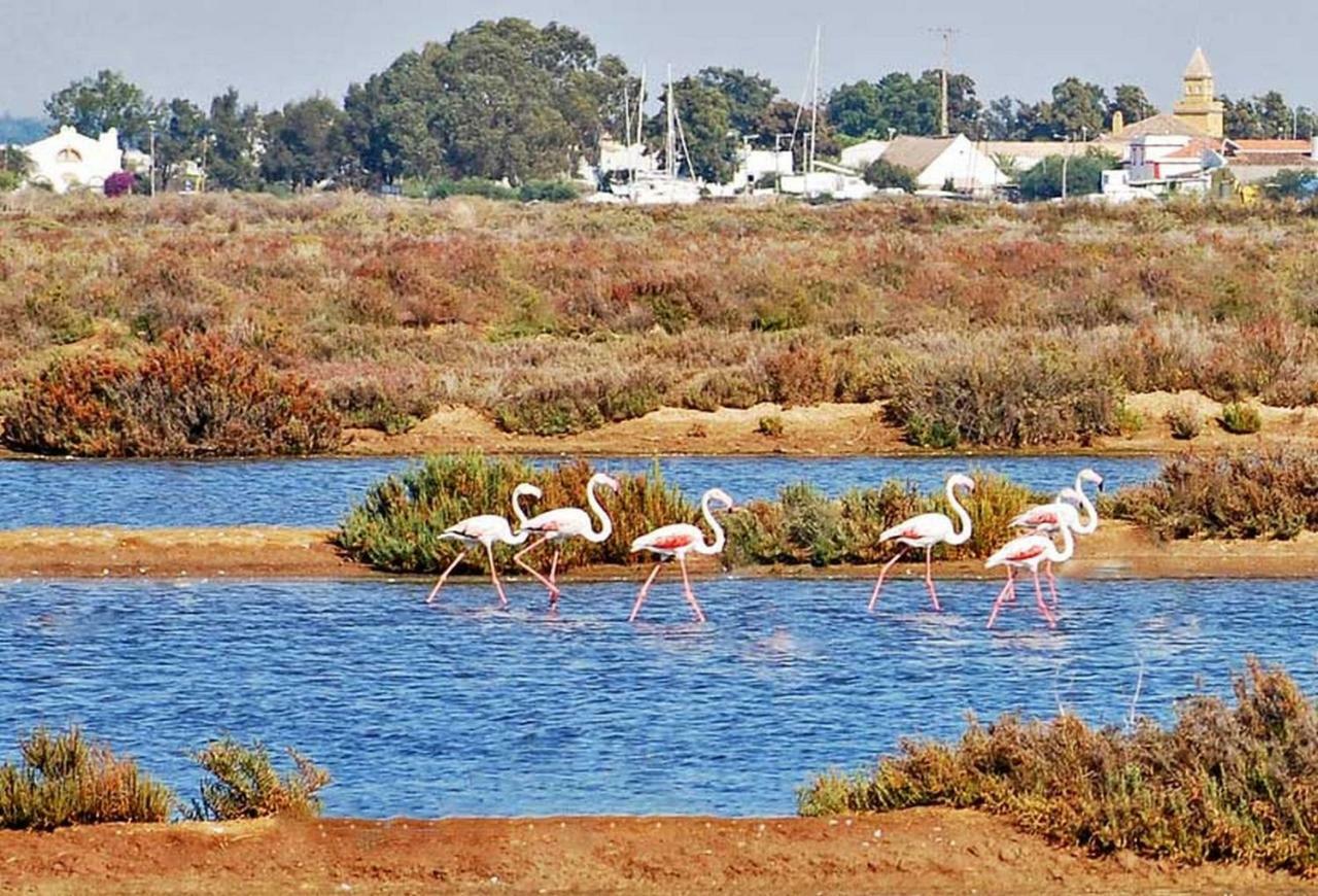 Casa Dos Ninos Bed and Breakfast São Bartolomeu de Messines Εξωτερικό φωτογραφία